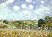 Alfred Sisley Meadow oil painting picture wholesale